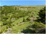 Tegoška planina - Pungartska gora